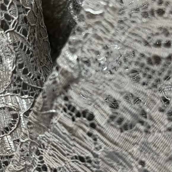 David’s Bridal Elegant Grey Lace Evening Dress maxi dress. - Picture 7 of 7